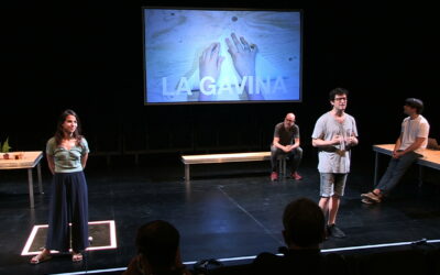 La gavina. Quin mal que fa l’amor no correspost!