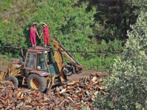 Barcelona Producció 2023-24 arrenca amb un cicle de performances del 14 al 16 de novembre al Centre d’Art